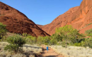 The Diverse Wonders Of Australia