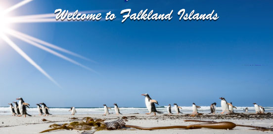 Discovering The Falkland Islands