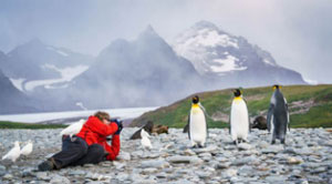 Discovering The Falkland Islands