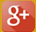 Google Plus Icon