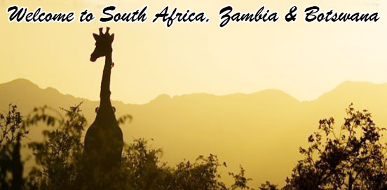 Wildlife Tour of South Africa