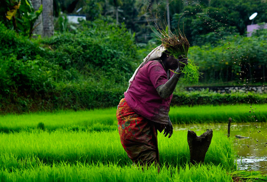 The Natural Splendors of South India