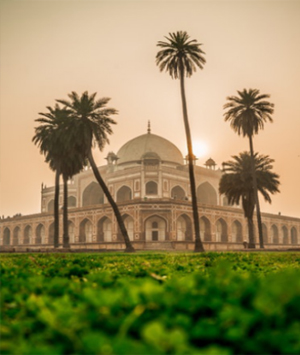 The Taj & Tigers of India