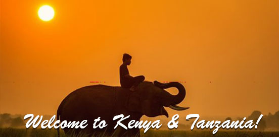 Wildlife Tour Of Kenya & Tanzania