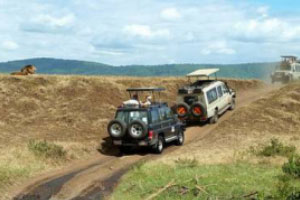 Wildlife Tour Of Kenya & Tanzania