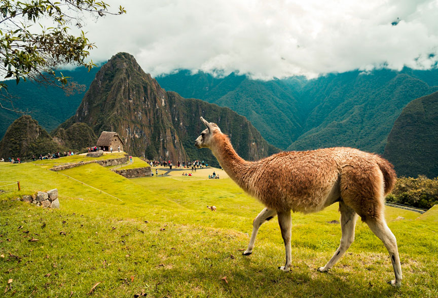 Peru with Machu Pichu Tour
